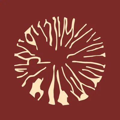 @bibi_ldn profile image