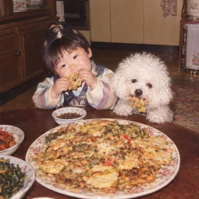@bichon814minyong profile image