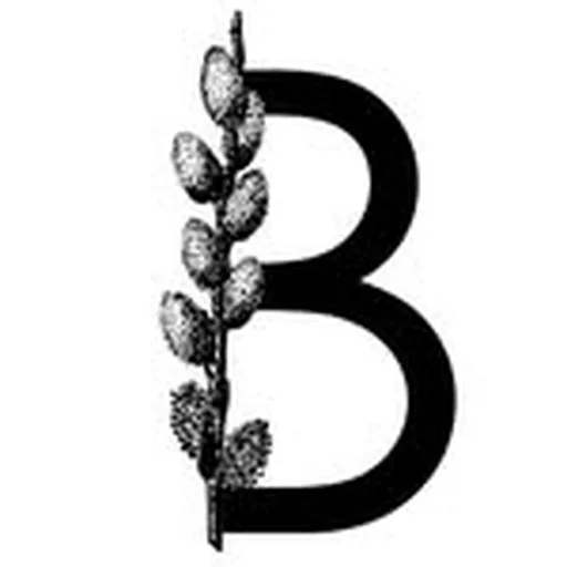 @bidmeshk_events profile image
