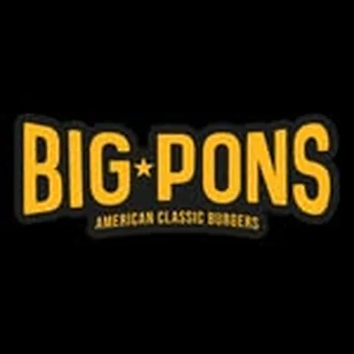 @big.pons profile image