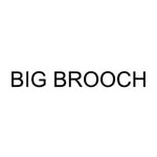 @big_brooch profile image