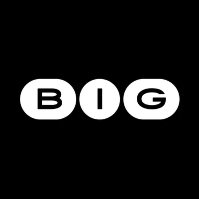 @big_festival profile image