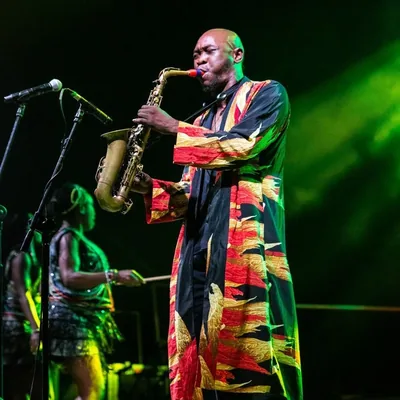 @bigbirdkuti profile image