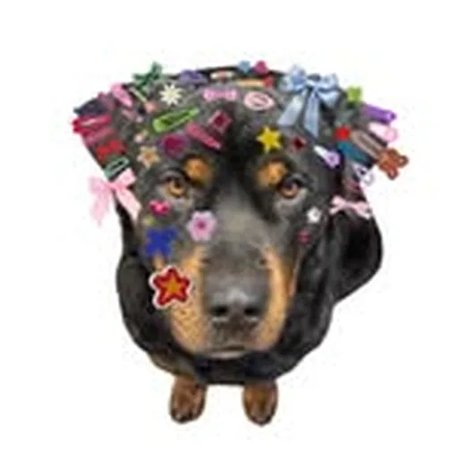 @bigdogkuma profile image