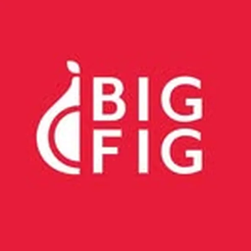 @bigfigmattress profile image