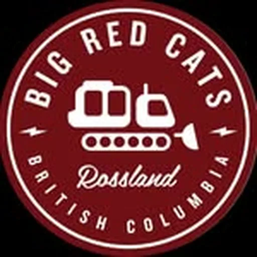 @bigredcats profile image