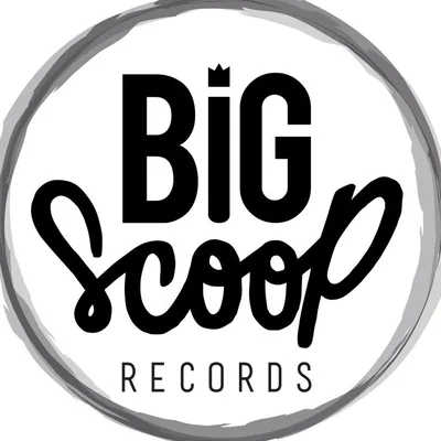 @bigscooprecords profile image