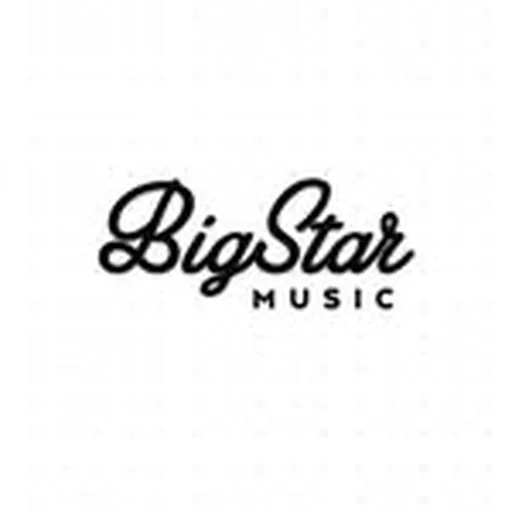 @bigstar_music profile image