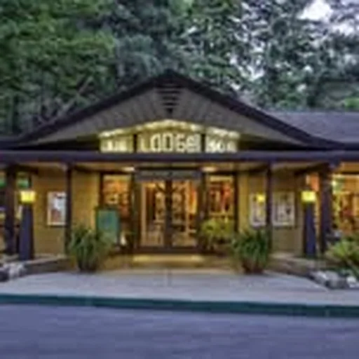 @bigsurlodge profile image