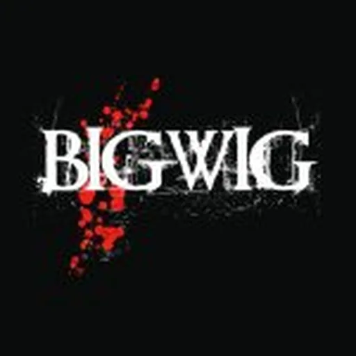 @bigwigband profile image