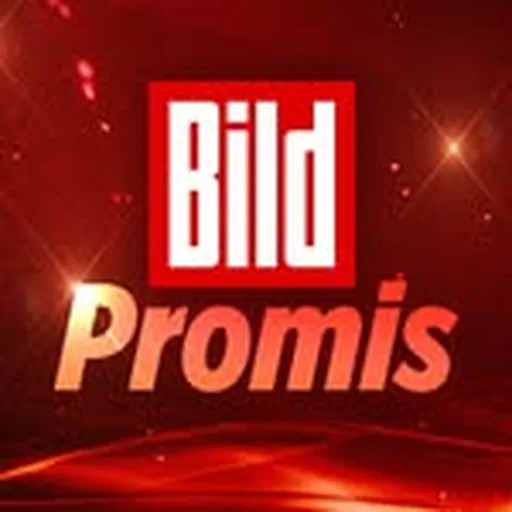 @bild_promis profile image
