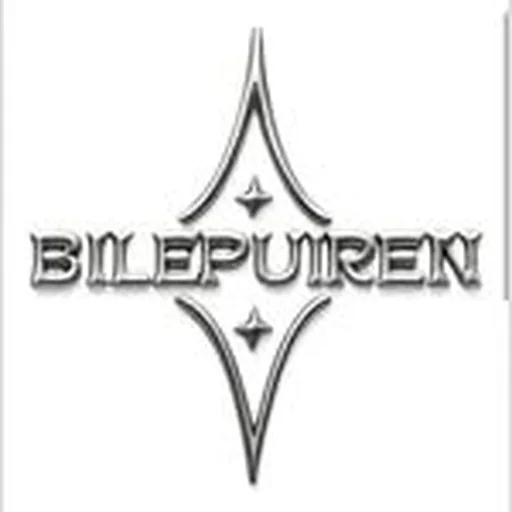 @bilepuiren profile image