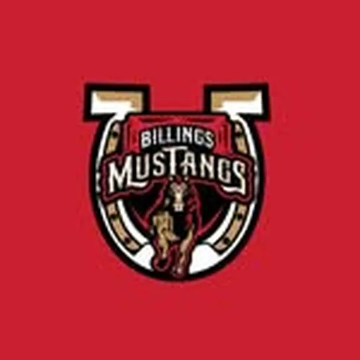 @billingsmustangsbaseball profile image