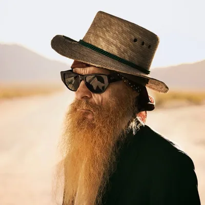 @billyfgibbons profile image