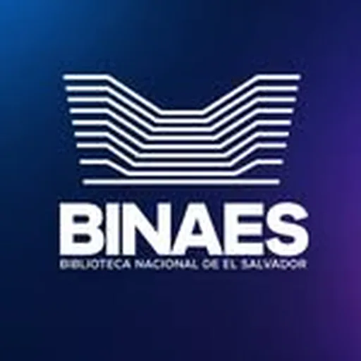 @binaes.sv profile image