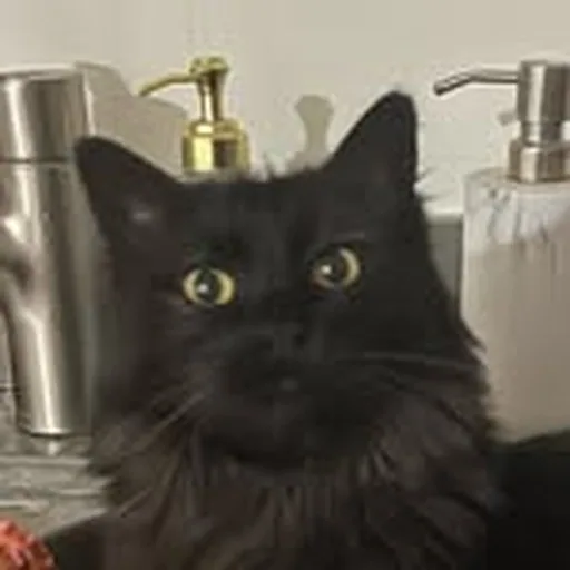 @binthiasreviews profile image