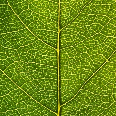 @biofuturism profile image