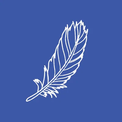 @birdcollective profile image