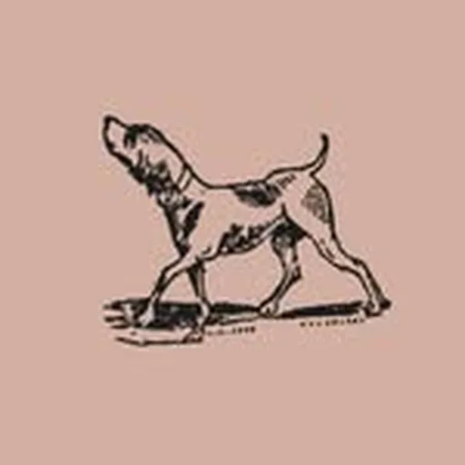 @birddog.nyc profile image