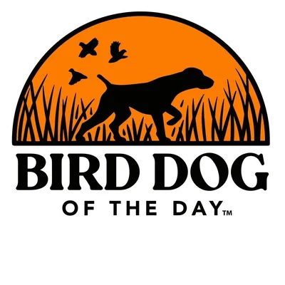 @birddogoftheday profile image