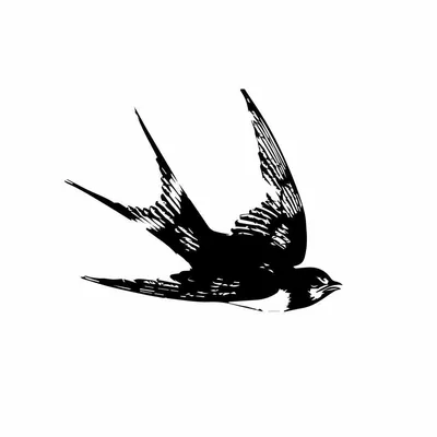 @birdhausbeergarden profile image