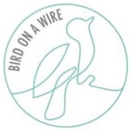 @birdonawiresa profile image