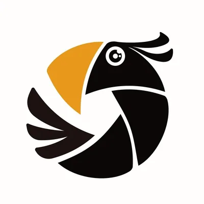 @birds_in_view profile image