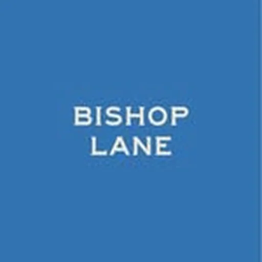 @bishoplanedallas profile image