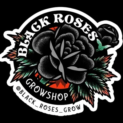 @black_roses_grow profile image