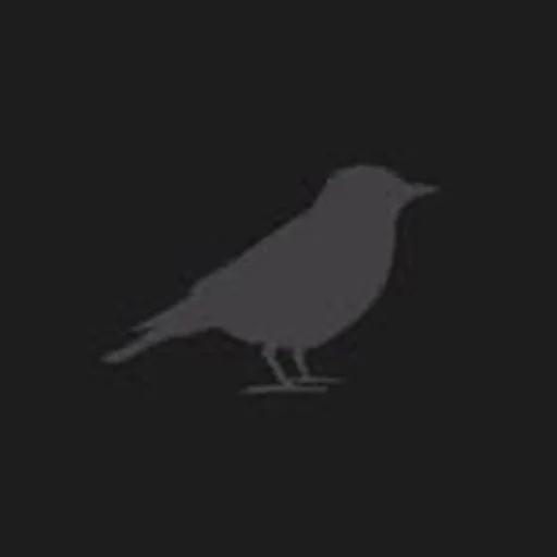 @blackbirddrums profile image