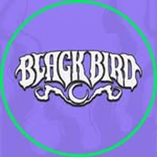 @blackbirdillu profile image