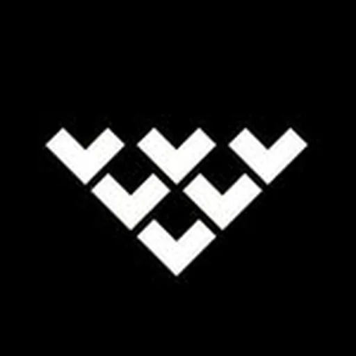@blackcrows_skis profile image