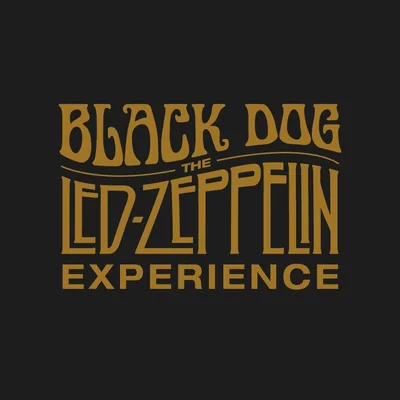 @blackdogcl_ profile image