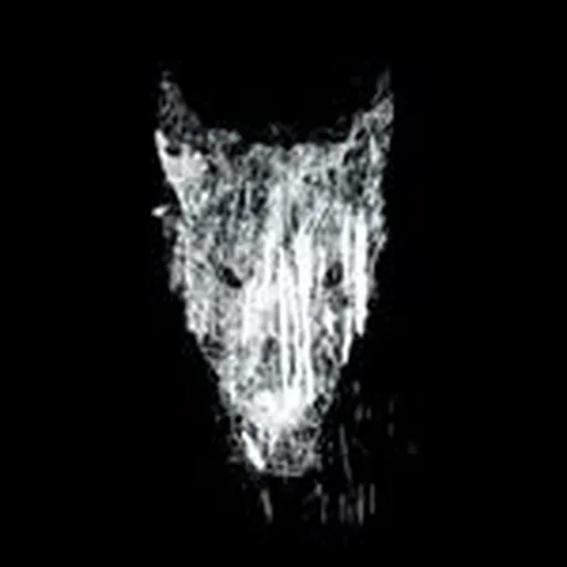 @blackdogfilms profile image