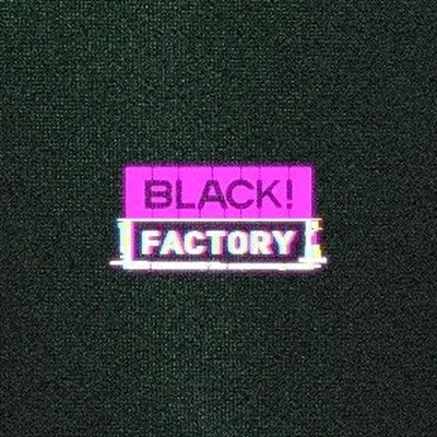 @blackfactoryfestival profile image
