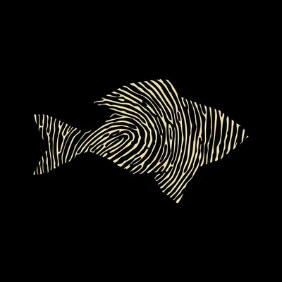 @blackfish.ph profile image