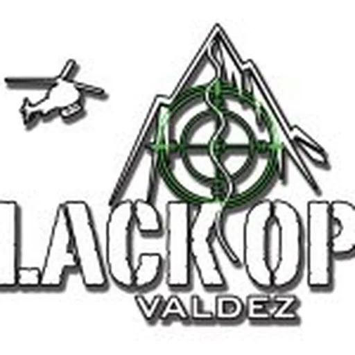 @blackopsvaldez profile image
