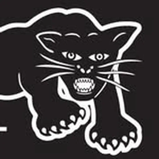 @blackpantherpartymuseum profile image