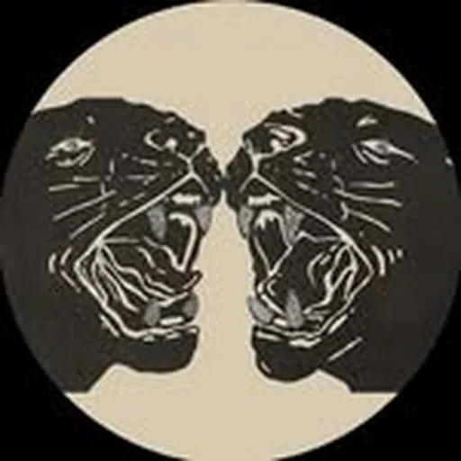 @blackpumas profile image