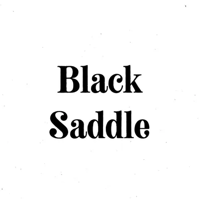 @blacksaddletravel profile image