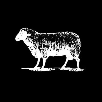 @blacksheepskateshop profile image