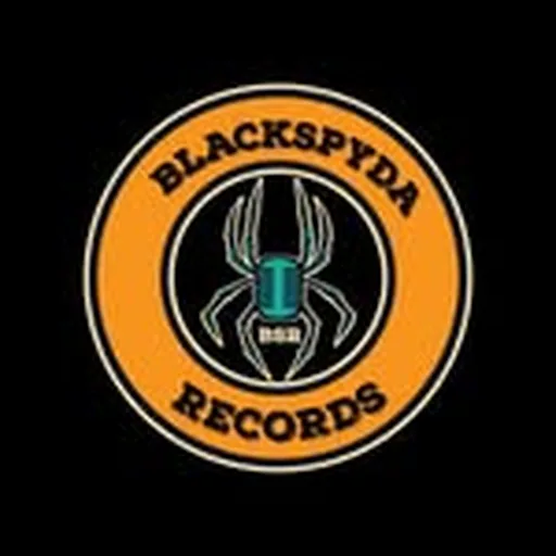 @blackspydarec profile image