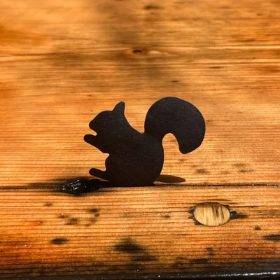 @blacksquirrelclub profile image