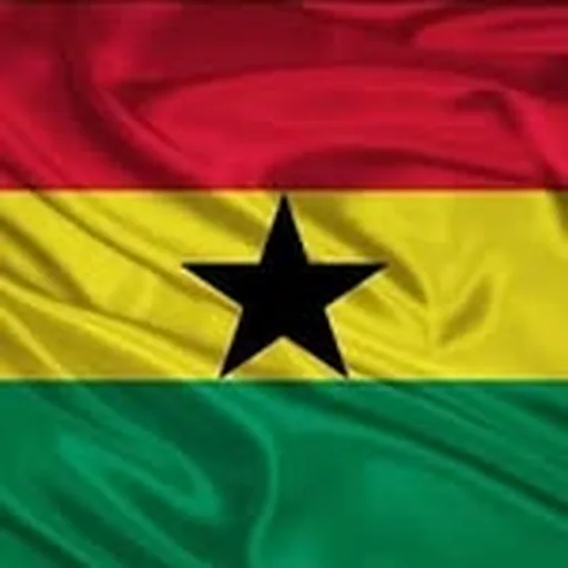 @blackstarsofghana_ profile image
