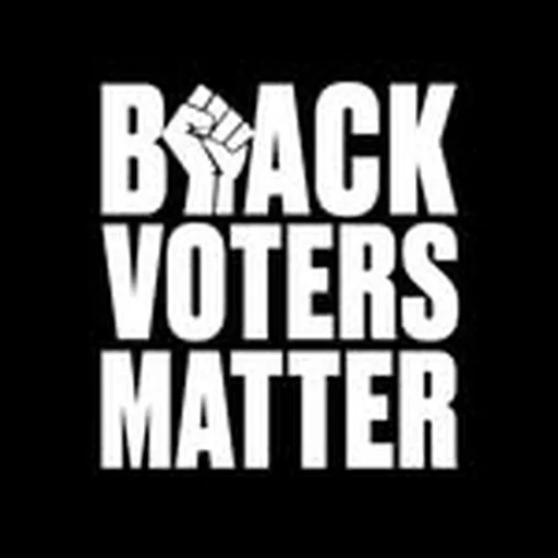 @blackvotersmtr profile image