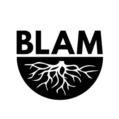 @blamcharity profile image
