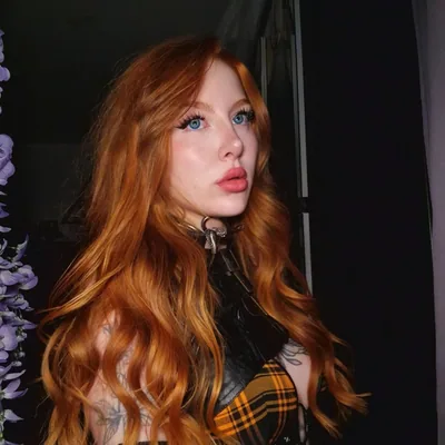 @bleachedfox profile image
