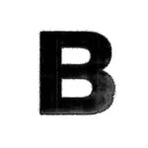 @bleachsocial profile image