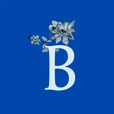 @bleucalgary profile image