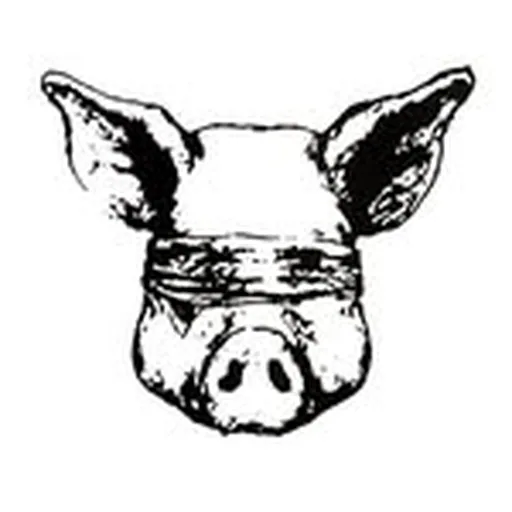 @blindasapig profile image